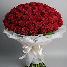 Букет 101 Красная роза Блэк Мэджик в Идрице