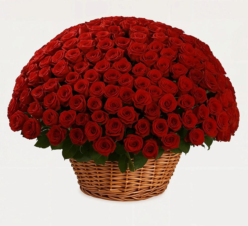 Премиум букет из: Розы в Идрице