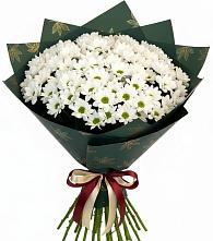 Букет цветов из:  Хризантемы в Идрице