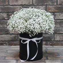 Цветочная композиция из Гипсофила в шляпной коробке в Идрице