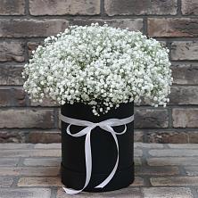 Цветочная композиция из Гипсофила в шляпной коробке в Идрице